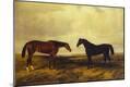 Premium Giclee Print