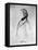 William Makepeace Thackeray, Anglo-Indian Novelist-Count d'Orsay-Framed Premier Image Canvas