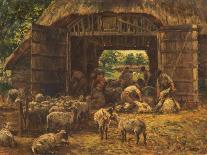 Sheep Shearing, 1892-William Mark Fisher-Giclee Print