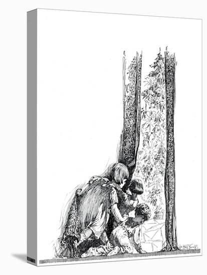 Stretched Canvas Print, , large