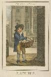 Strawberries, Cries of London, 1804-William Marshall Craig-Giclee Print