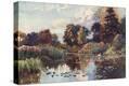 Stretched Canvas Print