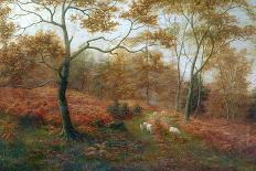 Bolton Woods, Yorkshire-William Mellor-Laminated Giclee Print