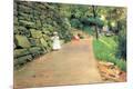 Premium Giclee Print