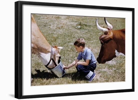 Photographic Print, , large