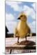 Premium Photographic Print