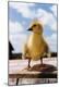 Photographic Print
