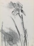 Irises White Cans, 2006-William Packer-Giclee Print