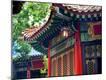 Premium Photographic Print