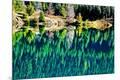 Premium Photographic Print