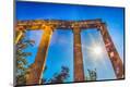 Photographic Print
