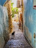 Old Stone Street with Black Cat, Safed, Tsefat, Israel-William Perry-Photographic Print