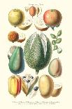 Fruits and Nuts-William Rhind-Art Print