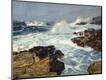 Premium Giclee Print