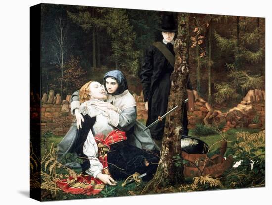 Stretched Canvas Print, , large