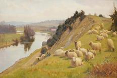 A Riverside Pasture with Sheep-William Sidney Cooper-Framed Premier Image Canvas
