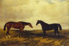 The Earl of Granard's Bright Bay Filly and Dark Bay Stallion, 1885-William Snr. Luker-Giclee Print