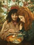 The Goldfish Bowl-William Stewart Macgeorge-Premier Image Canvas