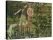 Stretched Canvas Print