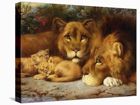 Stretched Canvas Print, , large