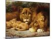 Premium Giclee Print