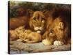 Stretched Canvas Print
