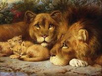 A Royal Family of Lions-William Strutt-Giclee Print