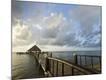 Premium Photographic Print