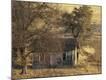 Photographic Print