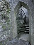 Castle Doorway, County Mayo, Ireland-William Sutton-Photographic Print