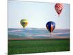 Photographic Print