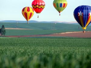 Colorful Hot Air Balloons Float over a Wheat Field in Walla Walla, Washington, USA by William Sutton