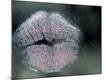 Premium Photographic Print
