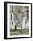 William Tell, 1897-Ferdinand Hodler-Framed Giclee Print