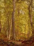 June Woods, Pennsylvania, 1864-William Trost Richards-Giclee Print