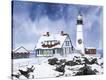 Stretched Canvas Print
