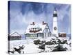 Stretched Canvas Print