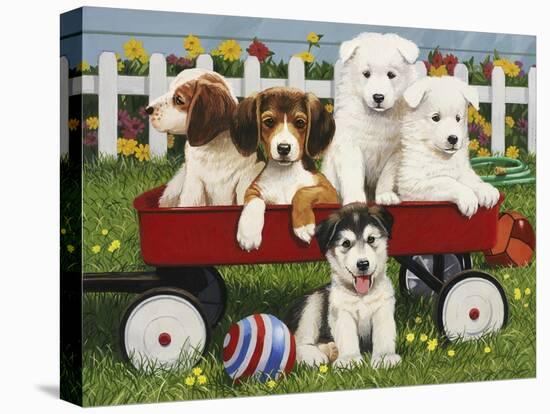 Stretched Canvas Print, , large