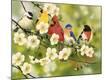 Premium Giclee Print
