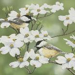 Chickadees and Holly Branch-William Vanderdasson-Giclee Print