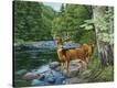 Stretched Canvas Print