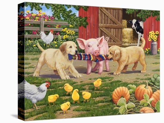 Stretched Canvas Print, , large