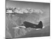 Photographic Print