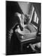 Photographic Print