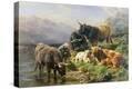 Stretched Canvas Print