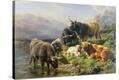 Stretched Canvas Print