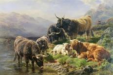 Highland Cattle-William Watson-Giclee Print