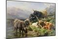 Giclee Print