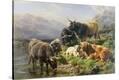 Stretched Canvas Print