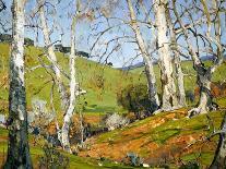 Sycamores and Oaks-William Wendt-Art Print